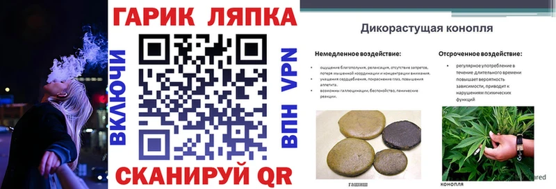 OMG ONION  Весьегонск  ГАШ Premium 