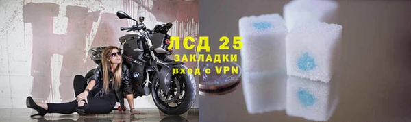 спайс Аркадак