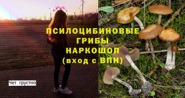 спайс Аркадак