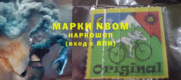 ПСИЛОЦИБИНОВЫЕ ГРИБЫ Баксан